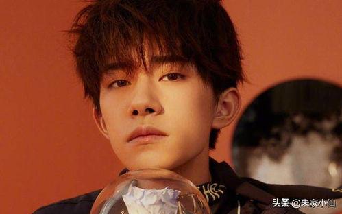 娱乐吃瓜杨洋视频大全,笑料百出,精彩纷呈